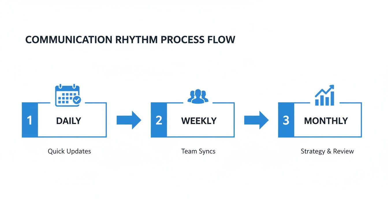 Process flow diagram showing daily quick updates, weekly team syncs, and monthly strategy reviews.